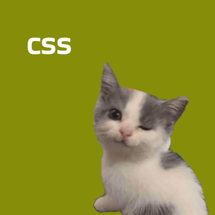 CSS