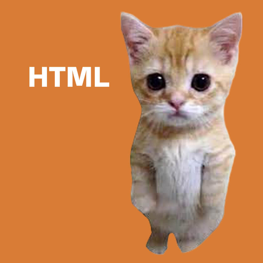 HTML
