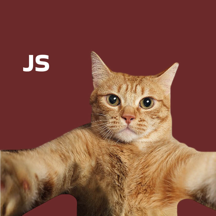 JavaScript