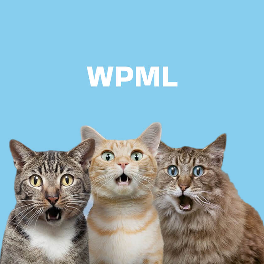 WPML
